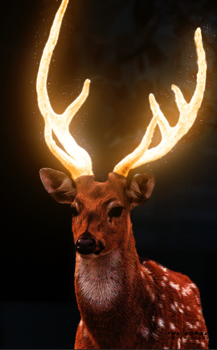 Glow Deer